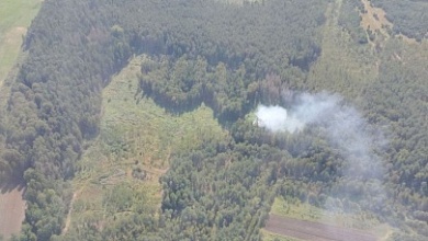 Горят леса в Брестской области