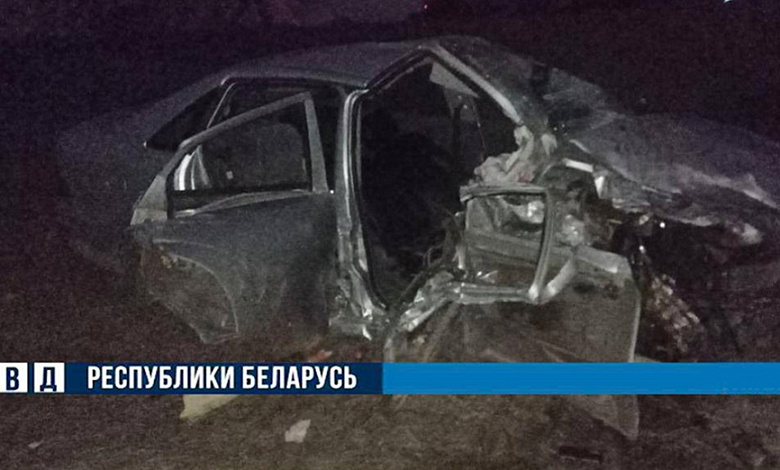 Житель Столинского района пьяным сел за руль: погибли жена и годовалый сын, тяжко травмирована дочь