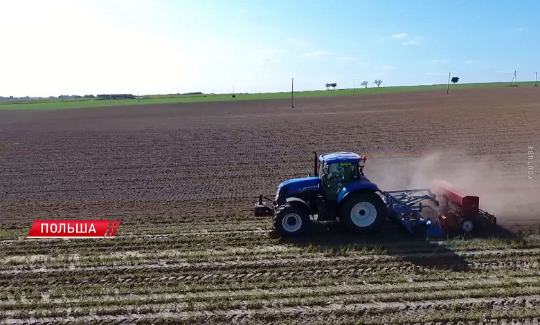 В Польше власть обязала заплатить налоги фермеров, раздававших овощи бесплатно