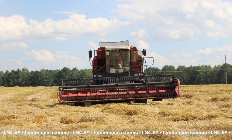 Жатва-2025 в Лунинецком районе: водителей-тысячников стало больше