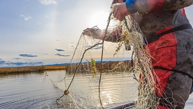Нарушениям природоохранных норм в Брестской области необходимо возместить ущерб на сумму более 18 тысяч рублей