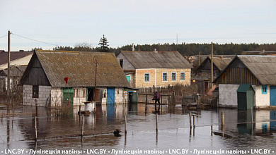 Дома, хозпостройки и дороги. Талые и паводковые воды подтапливают Брестскую и Гомельскую области