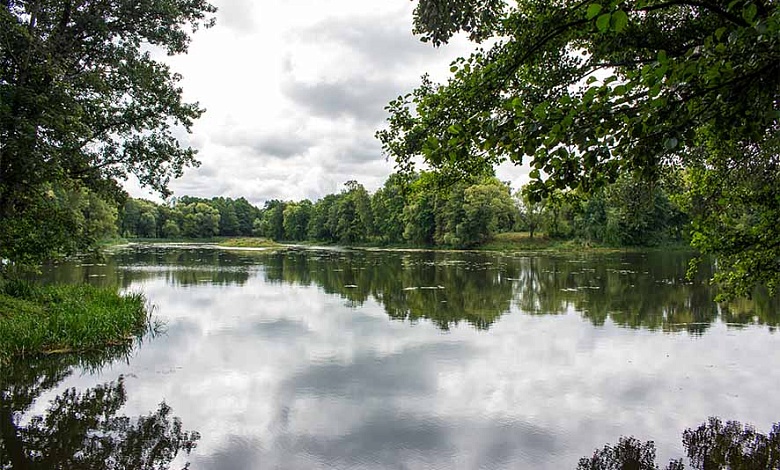 В Брестской области возмещено более 50 тыс. рублей ущерба, причиненного нарушениями природоохранных норм
