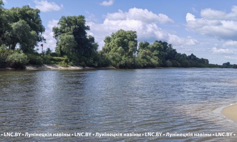 Продолжают мелеть реки Беларуси. Наблюдается спад уровней воды с интенсивностью в основном 1-11 см за сутки