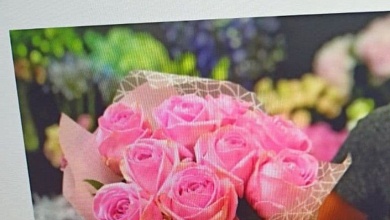 Вот так 8 марта! | Мошенники наживаются на доверчивых мужчинах 