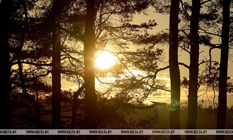 Белгидромет прокомментировал радиационную обстановку после пожара в зоне отчуждения ЧАЭС в Украине