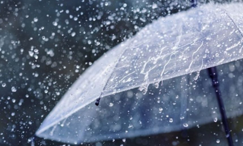 На неделе синоптики обещают дожди и до плюс 11 градусов в Лунинецком районе