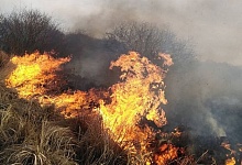 В Брестской области за две недели марта произошло 18 лесных пожаров 