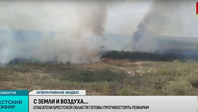 Картина с воздуха жуткая! Объявлен третий класс пожарной опасности |  Как служба МЧС реагирует на лесные пожары в Брестской области