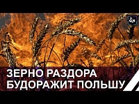 В Польше предъявлены обвинения по махинациям с украинским зерном 17-ти фигурантам