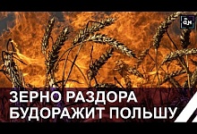 В Польше предъявлены обвинения по махинациям с украинским зерном 17-ти фигурантам