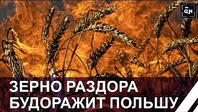 В Польше предъявлены обвинения по махинациям с украинским зерном 17-ти фигурантам