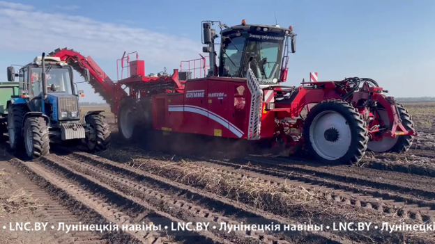 Очередь из фур с картофелем в 30 километров! Уборка второго хлеба продолжается в Лунинецком районе 