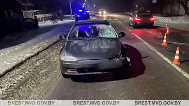 Семь ДТП в Брестской области: три человека погибли и девять получили травмы