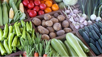 В Беларуси назвали расценки на закупку у населения овощей, грибов и ягод