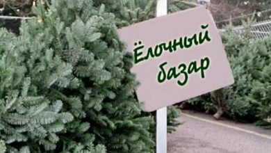 Места продажи и цены на новогодние деревья в Лунинецком районе