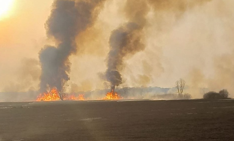 Пожары на пойменных землях реки Припять ликвидированы в Столинском районе