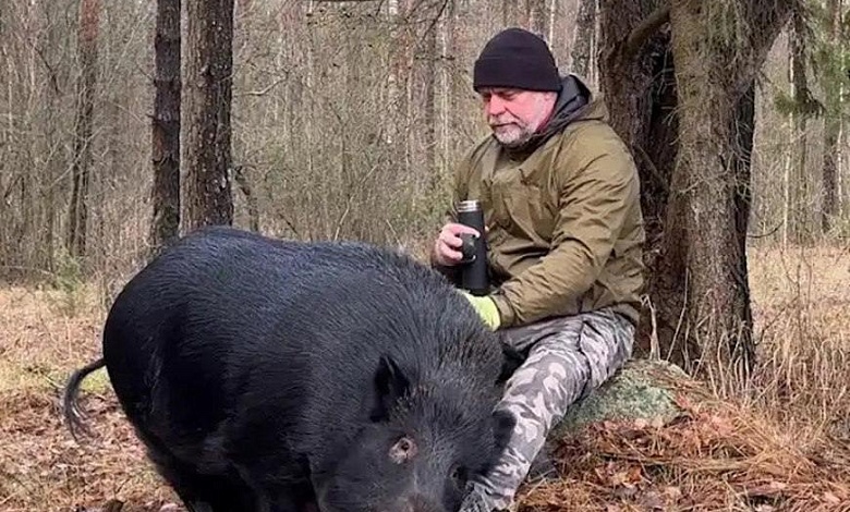Блогер приручил дикого кабана и назвал Яшей! // "Относится как к маме!"