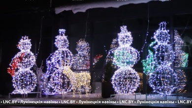 Кто стал лучшим в новогоднем украшении Лунинецкого района?