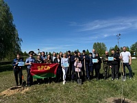 Аллею памяти героев Великой Победы заложили в Лунинце