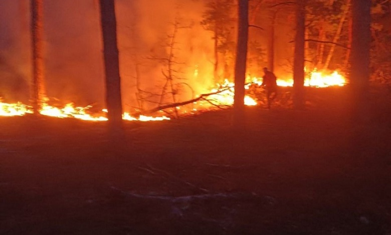 За сутки ликвидировано почти 90 пожаров в экосистемах. Полыхнуло и в Брестской области