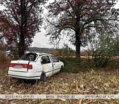 В Брестской области произошло 16 ДТП - три человека погибли и 17 получили травмы 