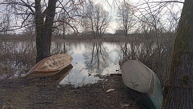 На каких реках Беларуси наблюдается рост уровней воды, рассказали гидрологи