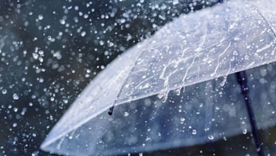 На неделе синоптики обещают дожди и до плюс 11 градусов в Лунинецком районе