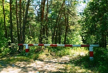 На территории всей Брестской области введено ограничение на посещение лесов