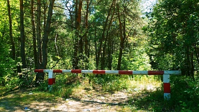 На территории всей Брестской области введено ограничение на посещение лесов