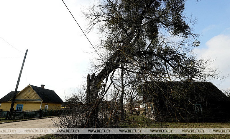В Беларуси за одну базовую величину продано более половины пустующих домов