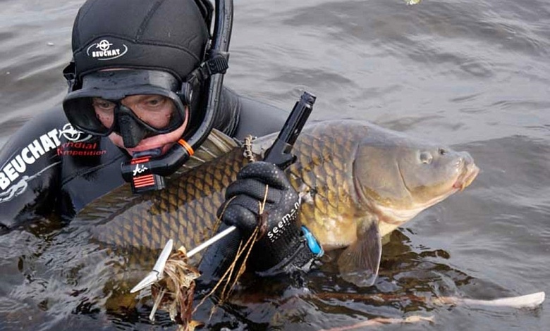 Определены водоемы для подводной охоты и ловли на дорожку в Брестской области и Лунинецком районе