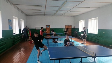 Кто лучше всех играет в настольный теннис в Лунинецком районе?