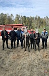 Пенсионер потерялся при сборе ягод в Столинском районе