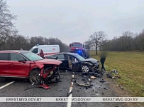 За неделю в 14 ДТП три человека погибли и 15 получили травмы в Брестской области 