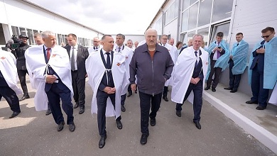 Лукашенко: Думали, что картошка растёт в интернете! // Про условия мира и молоко