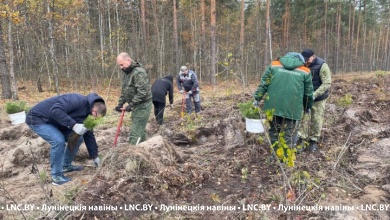 К акции «Дай лесу новае жыццё!» присоединился Лунинецкий райисполком