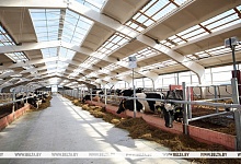 Лукашенко потребовал исключить бюрократизм при строительстве и реконструкции МТК 