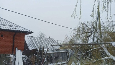 По всей Брестской области энергетики восстанавливают электроснабжение