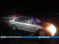 В Столине пешехода сбила машина 