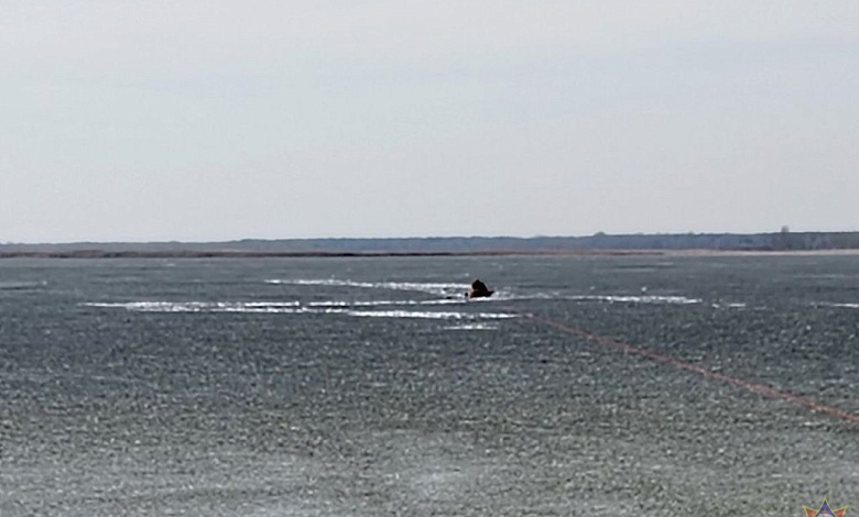 Рыбак провалился под лед в Брестской области. На помощь пришли спасатели
