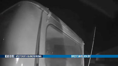 Убитую косулю нашли сотрудники ГАИ при проверке авто в Кобринском районе