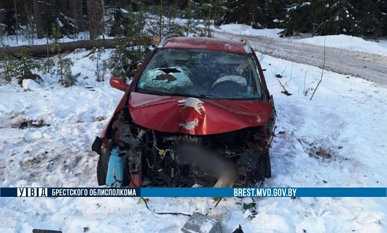 Женщина уснула за рулем и автомобиль вылетел в кювет в Брестской области
