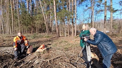 Там, где работает лучший вальщик леса! Съёмочная группа ТРК «Брест» побывала в Лунинецком лесхозе 