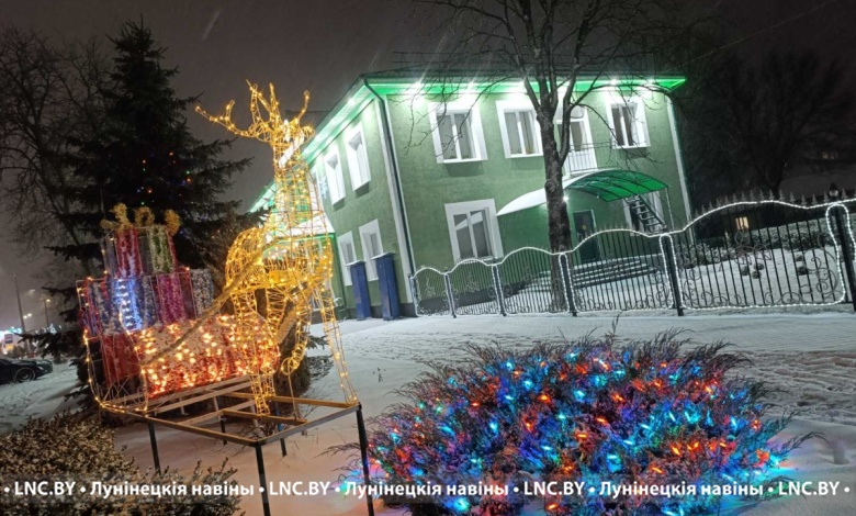 Лунинецкий лесхоз и Новоселковское лесничество - лучшие в Брестской области