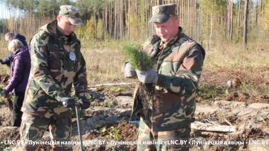 Лунинчане присоединились к республиканской акции «Дай лесу новую жизнь»