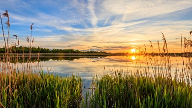 Холодное лето 2025 — за все последние восемь лет!