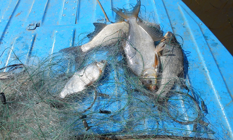Мужчина украл рыбу в Березовском районе. Ущерб составил почти 6 тысяч рублей