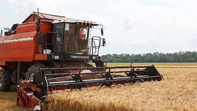 Белорусские аграрии намолотили 4 миллиона тонн зерна, из них более 1 миллиона - вклад первого региона