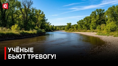 КАТАСТРОФА В БЕЛАРУСИ! Почему мельчают реки? Ситуация в Брестской области